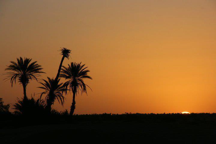 Riad La Maison Du Desert Oulad Driss Esterno foto