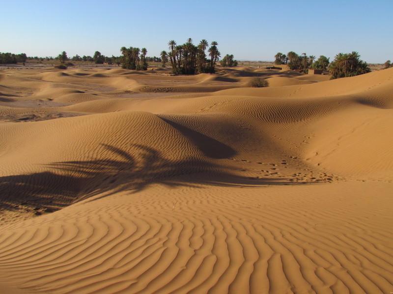 Riad La Maison Du Desert Oulad Driss Esterno foto